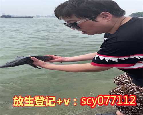 杭州放生的时间,杭州哪里可以买到放生鸟的,杭州放生群
