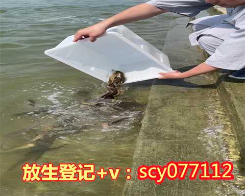 福州放生龟有哪些,福州放生甲鱼和泥鳅哪个功德大,福州适合放生乌龟的地方