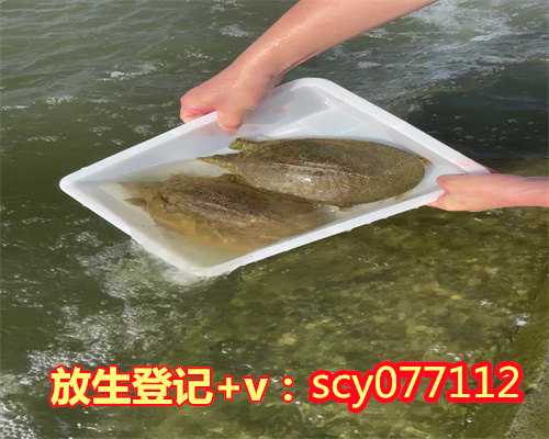漳州放生归一文,漳州周边哪里最适合放生青蛙,漳州适合放生的河流推荐