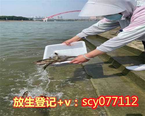 台州长江放生黑鱼，台州适合放生的河，喜欢放生的人是什么样的人