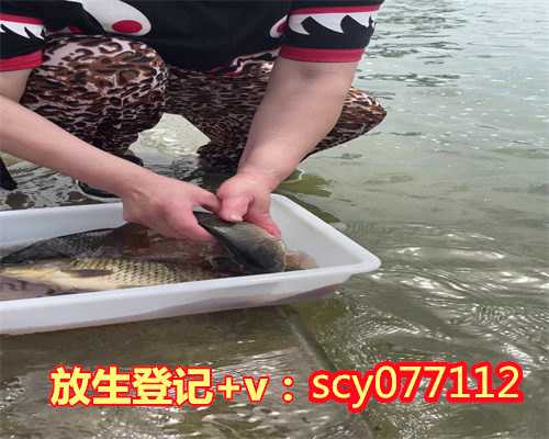 郑州公园放生鹌鹑,郑州哪里可以放生鱼类,郑州哪里适合放生鳖
