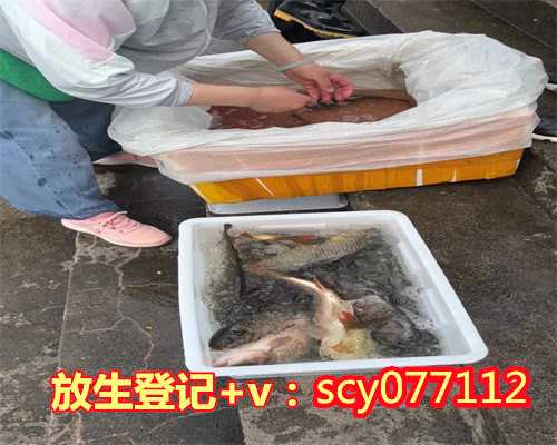 黑龙江寺庙放生池，黑龙江市区哪里可以放生鱼，黑龙江放生护生会如何加入