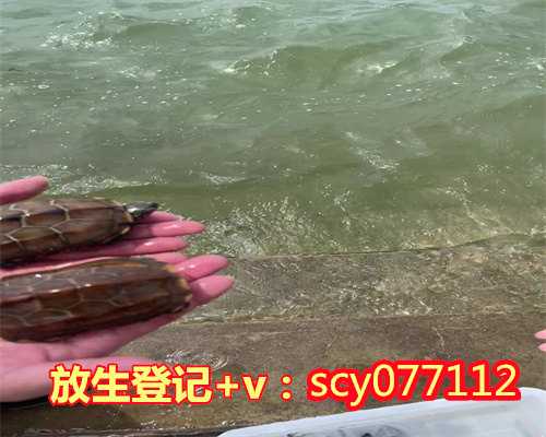 滁州放生去哪买鱼，滁州哪里可以放生鸟的，滁州大鳄龟可以放生吗