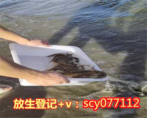 柳州放生后消业障的表现,柳州秦皇岛放生泥鳅的地方,柳州上海放生群